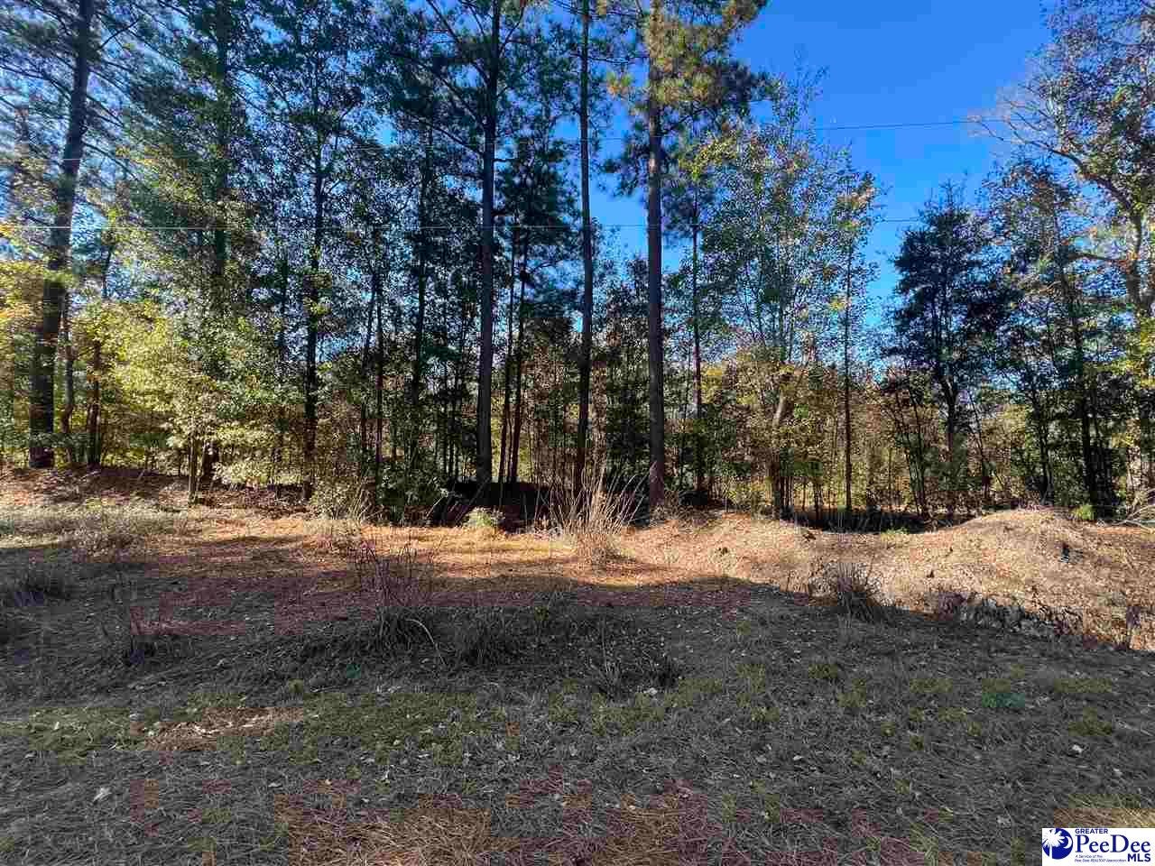 Tbd Tbd Southern Aire Road, Unit 1 Timmonsville, SC 29161 - Photo 3 of 7 Gallery Image 3
