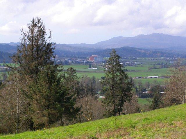 Lot 25 Skyview Road Tillamook, OR 97141 - Photo 8 of 21 P3180334.JPG