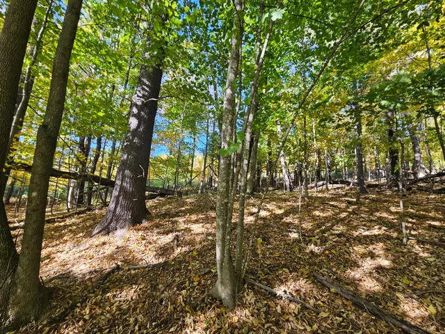 $45,000 | R-5-13-a Norton Hill Road, Strong, ME 04983