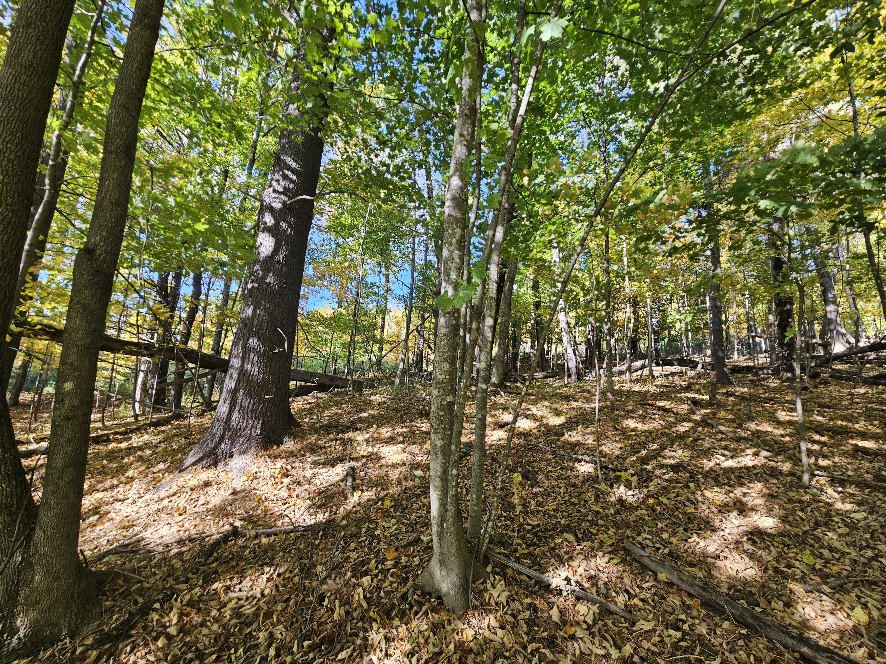 R-5-13-a Norton Hill Road Strong, ME 04983 - Photo 11 of 19 20250928_151407