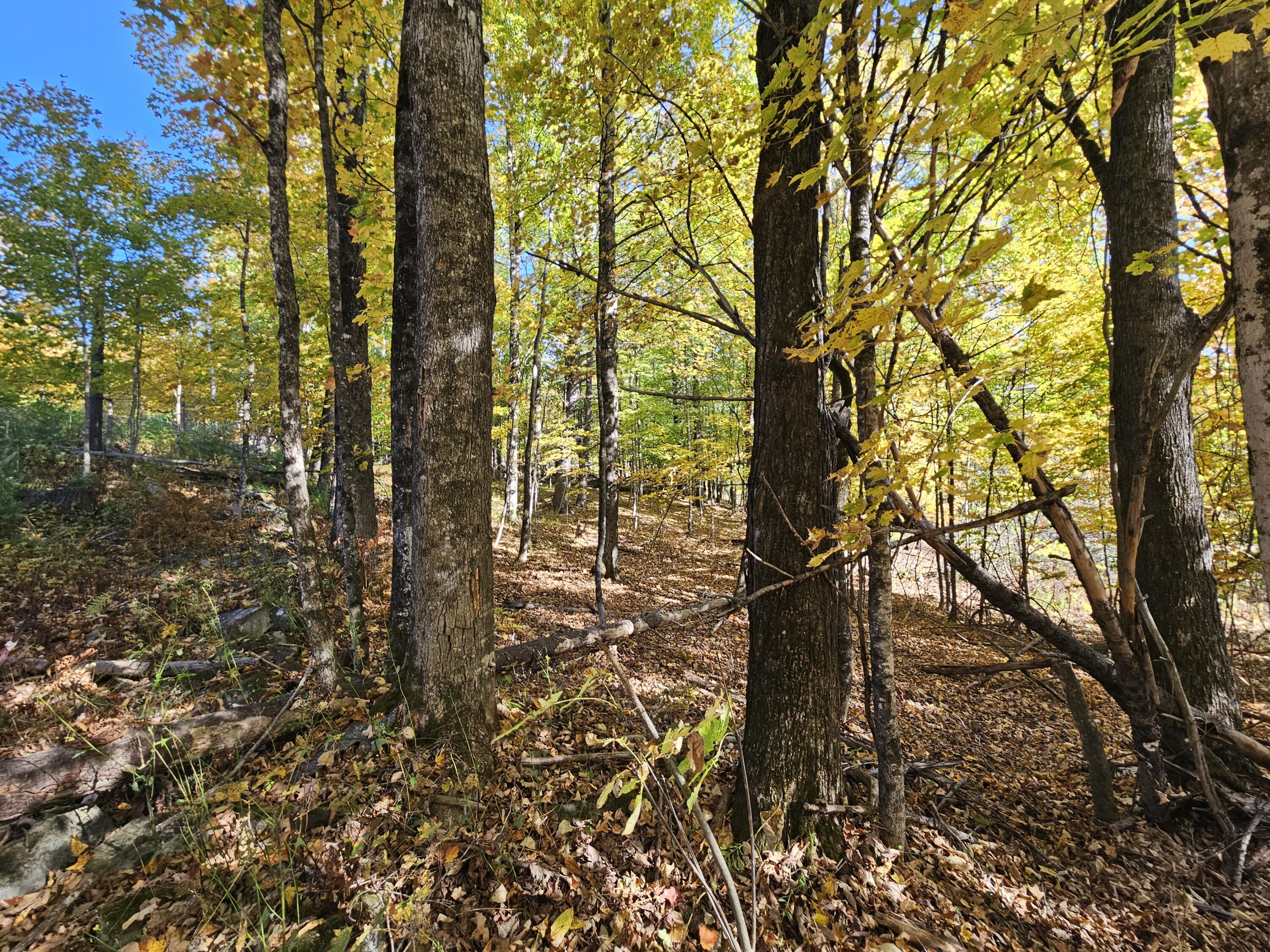 R-5-13-a Norton Hill Road Strong, ME 04983 - Photo 14 of 19 20250928_151854