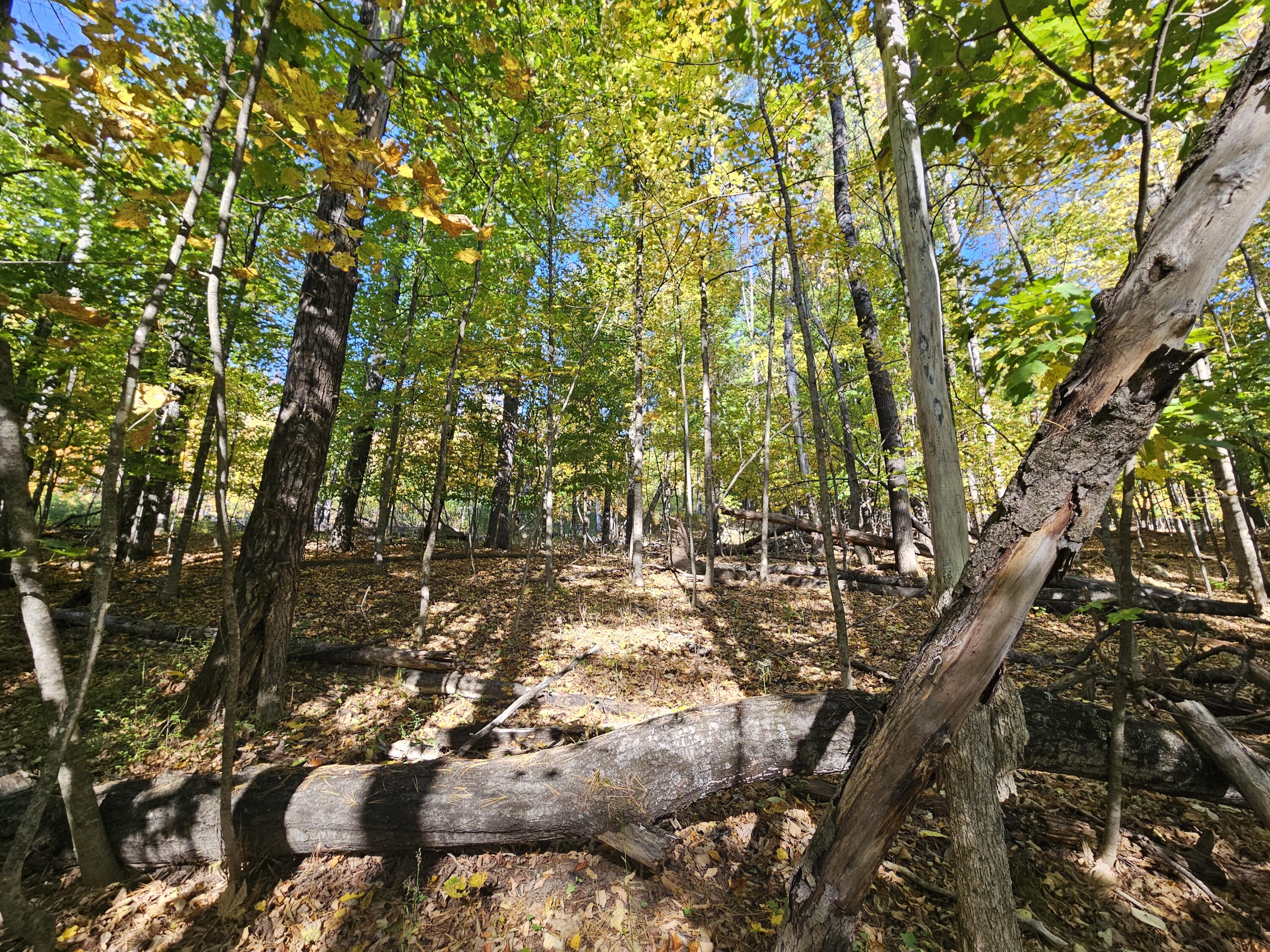 R-5-13-a Norton Hill Road Strong, ME 04983 - Photo 15 of 19 20250928_151443