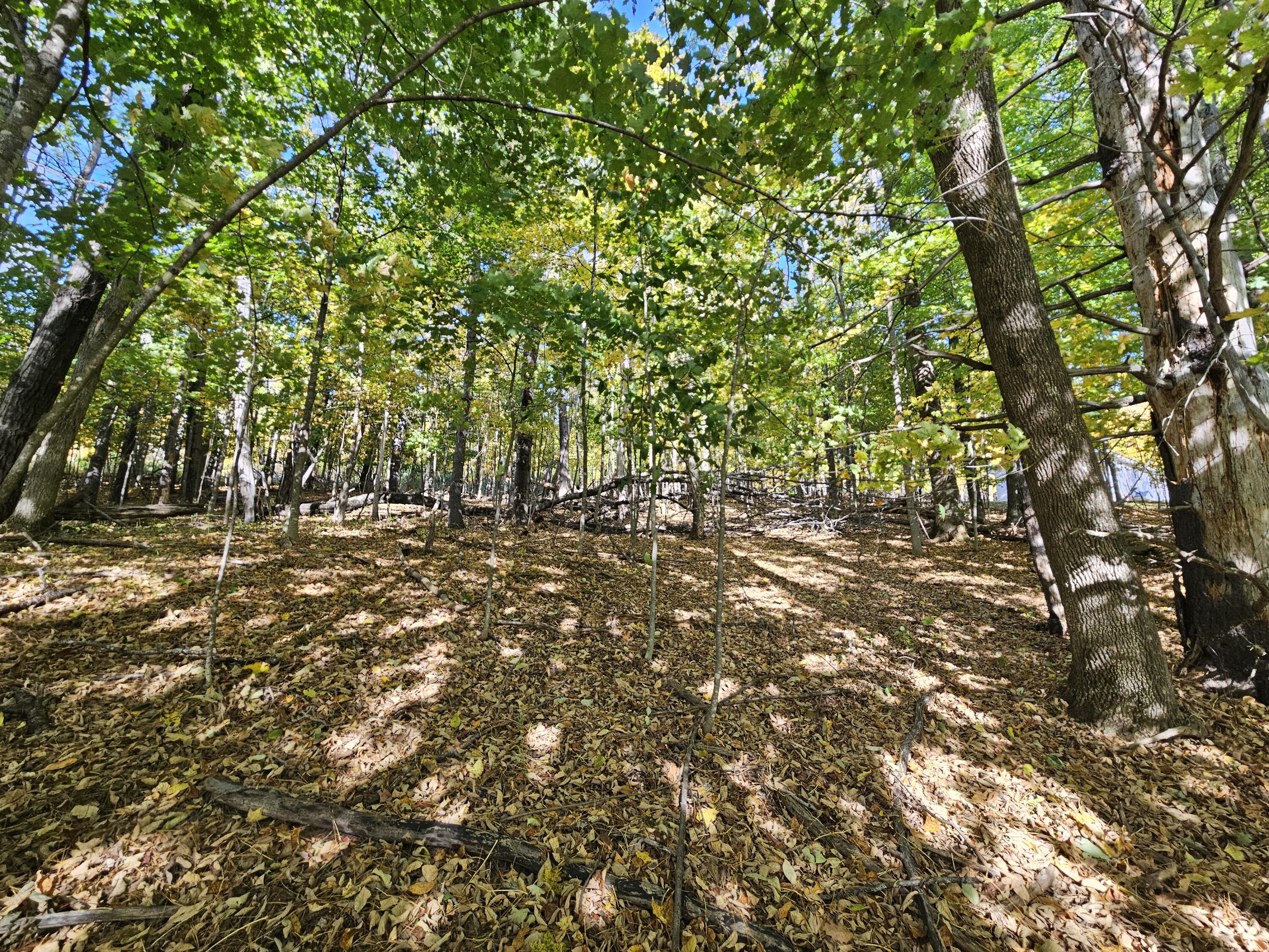 R-5-13-a Norton Hill Road Strong, ME 04983 - Photo 2 of 19 20250928_151410