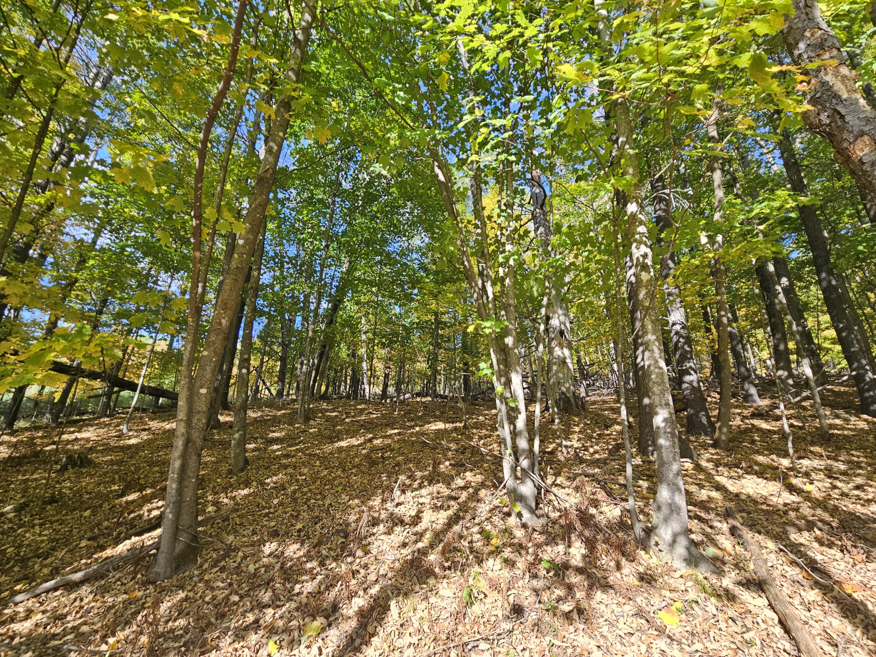 R-5-13-a Norton Hill Road Strong, ME 04983 - Photo 3 of 19 20250928_151216