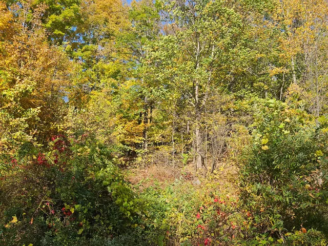 $45,000 | R-5-13-a Norton Hill Road, Strong, ME 04983