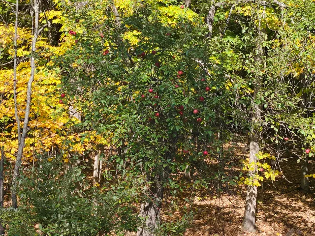 $45,000 | R-5-13-a Norton Hill Road, Strong, ME 04983