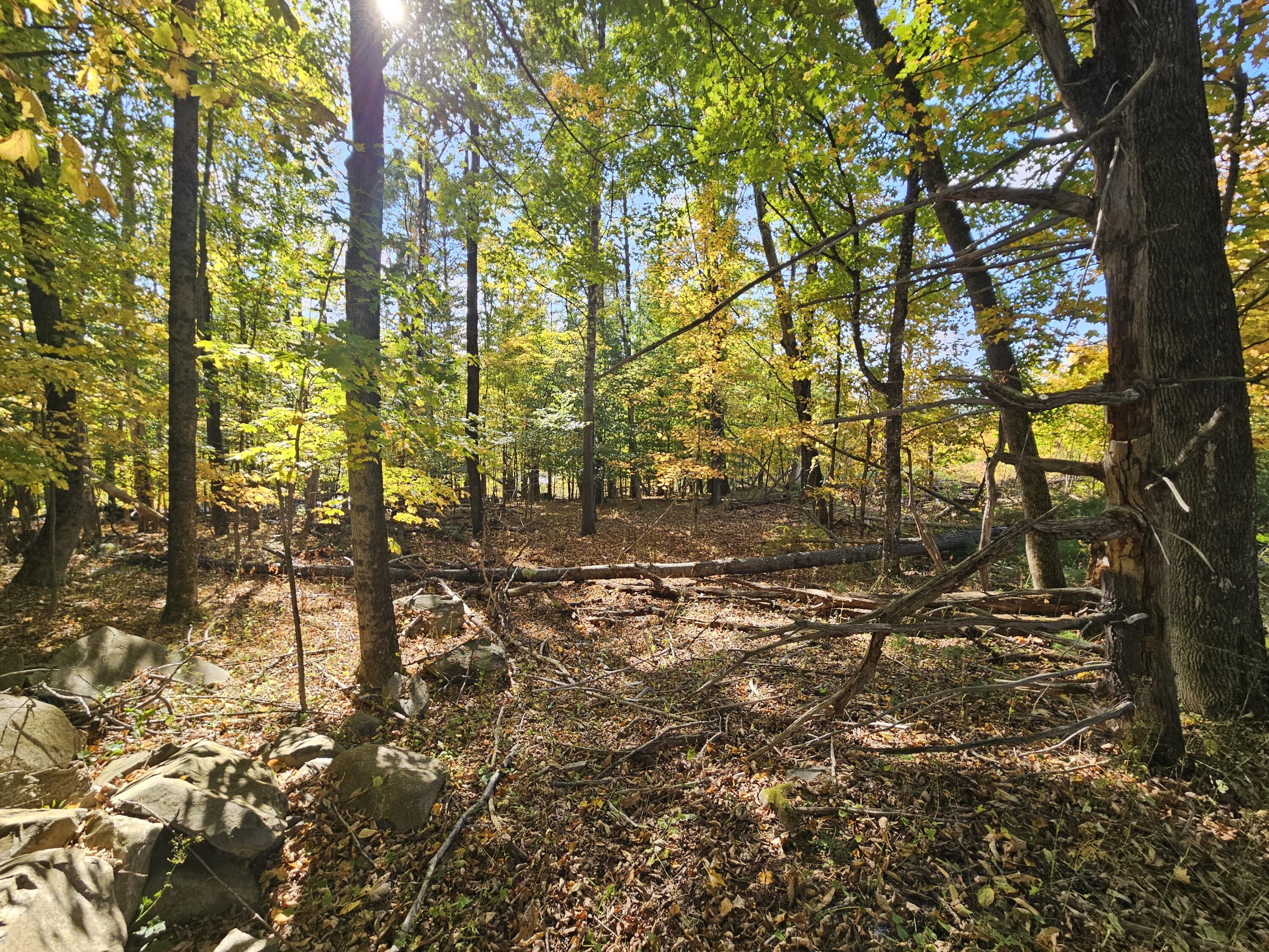 R-5-13-a Norton Hill Road Strong, ME 04983 - Photo 7 of 19 20250928_151630