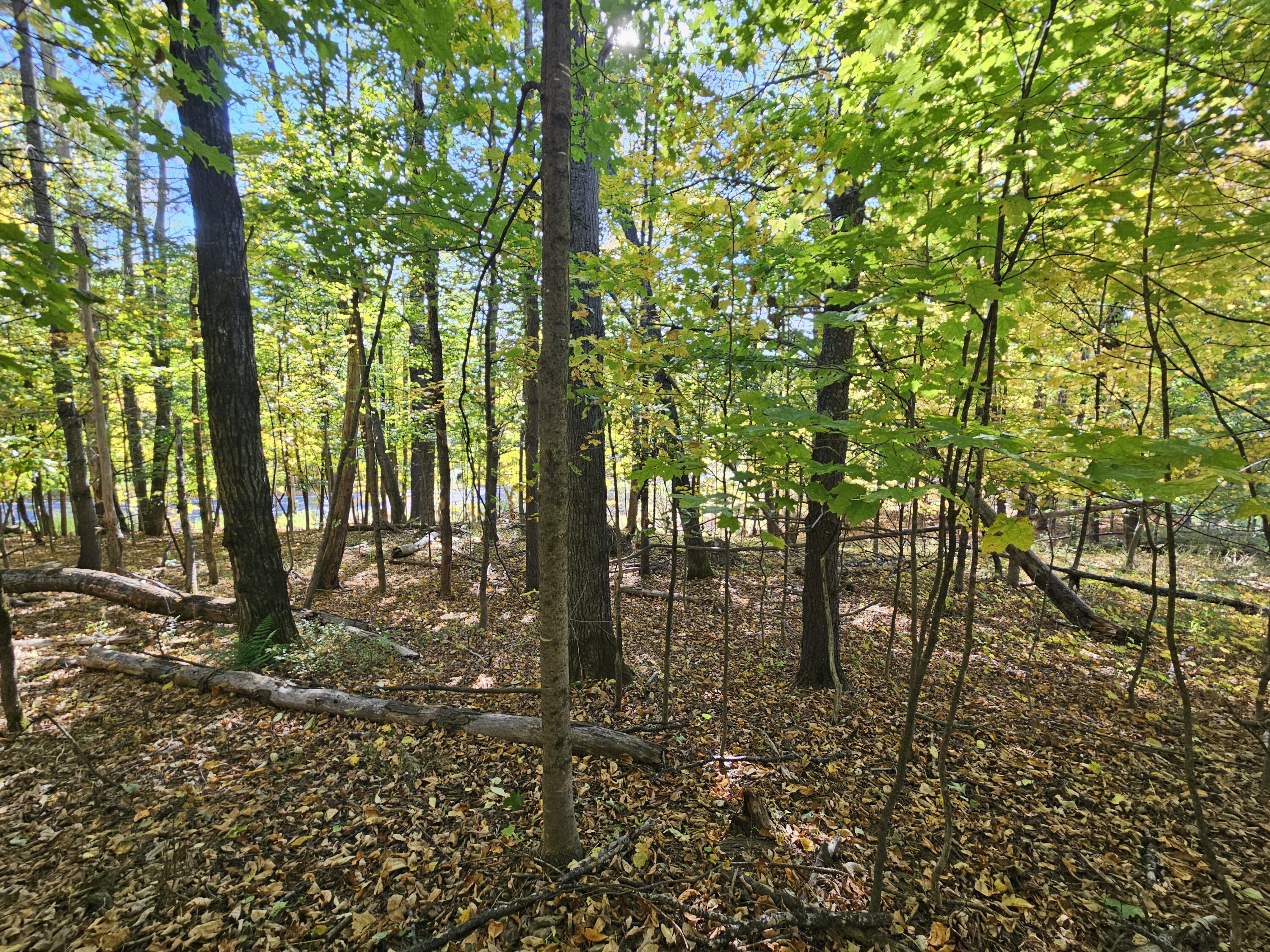 R-5-13-a Norton Hill Road Strong, ME 04983 - Photo 9 of 19 20250928_151516