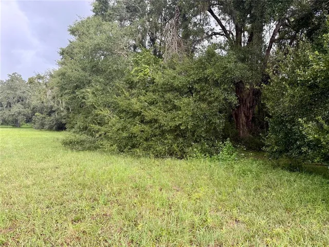 a view of outdoor space and yard
