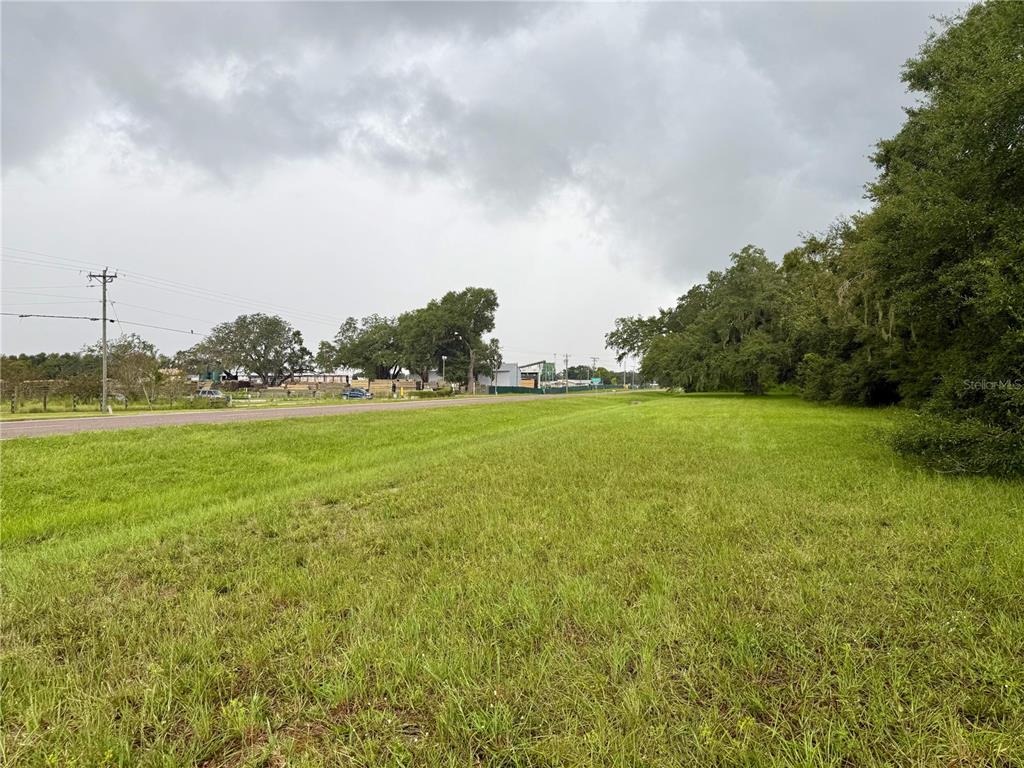 0 State Road 471 Webster, FL 33597 - Photo 4 of 9 a view of a grassy field with an trees