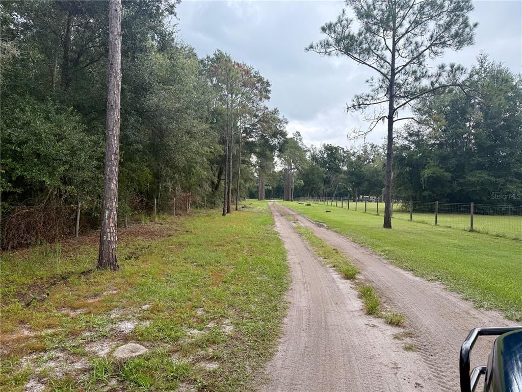0 State Road 471 Webster, FL 33597 - Photo 5 of 9 a view of a park