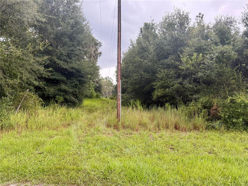 0 State Road 471 Webster, FL 33597 - Photo 8 of 9 a view of a garden