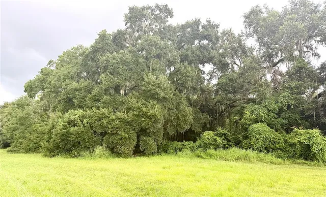 a view of yard with swimming pool and green space