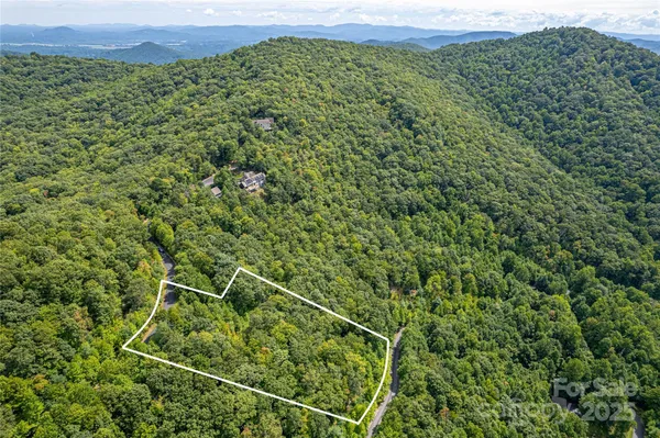 a view of a lush green forest with a mountain