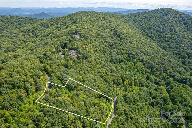 a view of a lush green forest with a mountain