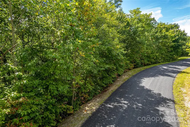 a view of a yard with a plant