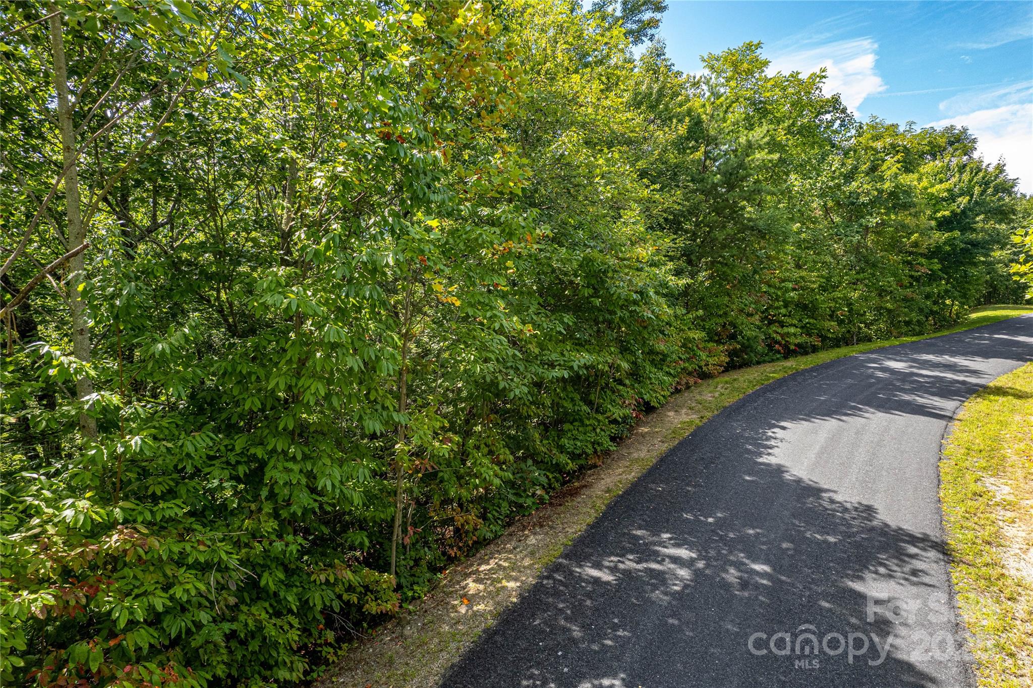579 Blue Mist Way Arden, NC 28704 - Photo 12 of 20 a view of a yard with a plant