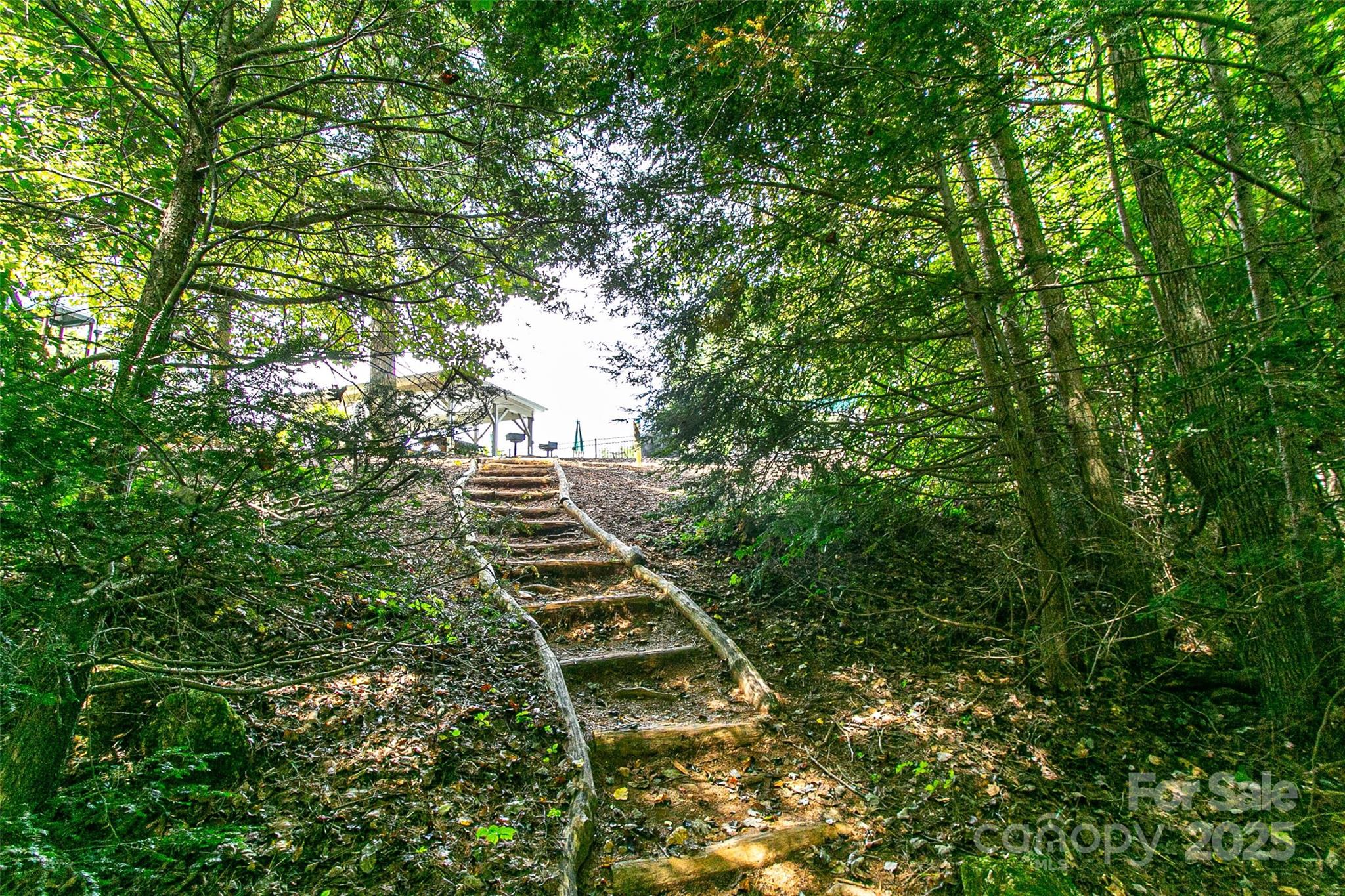 579 Blue Mist Way Arden, NC 28704 - Photo 18 of 20 a view of a yard
