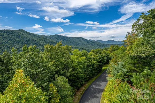 a view of a pathway both side of yard