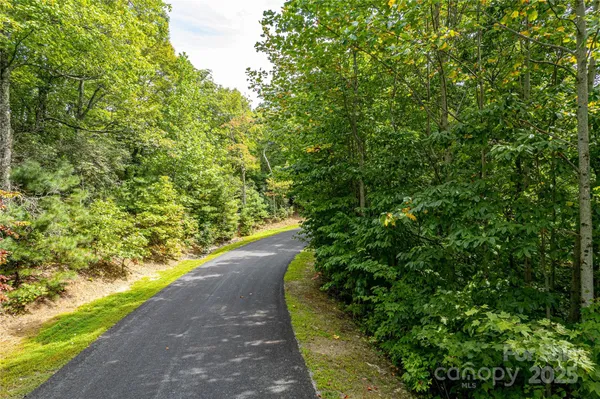 a view of a garden with a tree