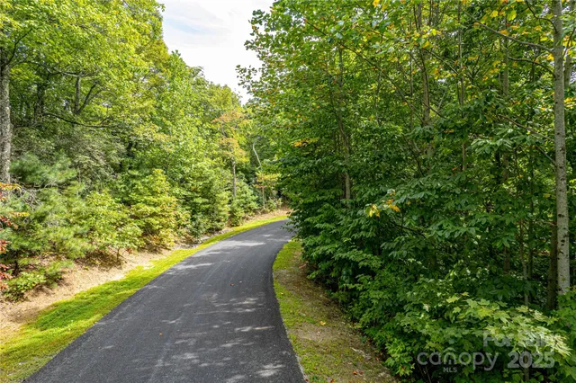 a view of a garden with a tree
