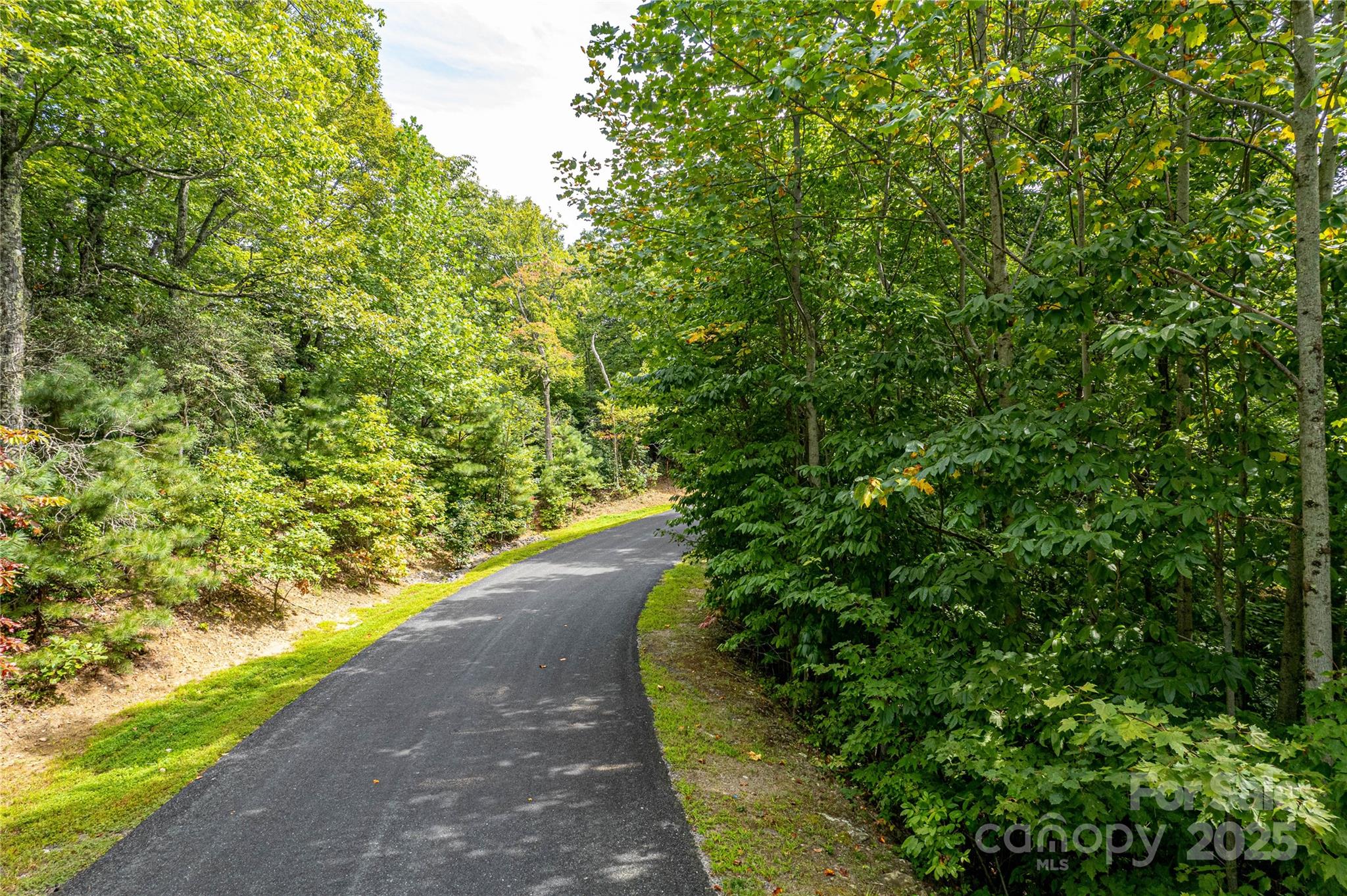 579 Blue Mist Way Arden, NC 28704 - Photo 4 of 20 a view of a garden with a tree