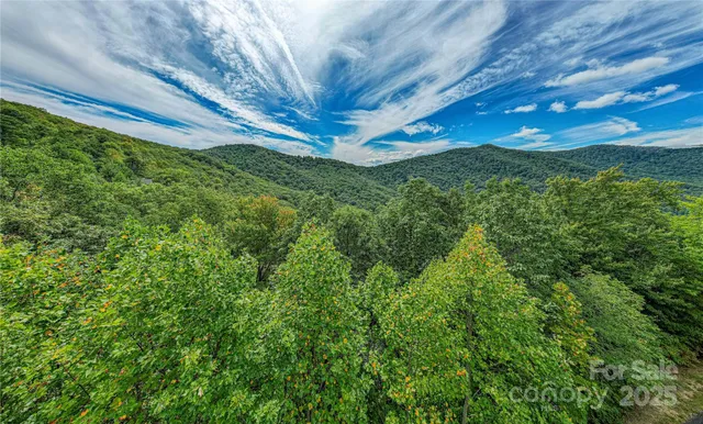 a view of a big yard