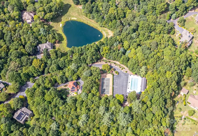 a view of a garden with a flower garden