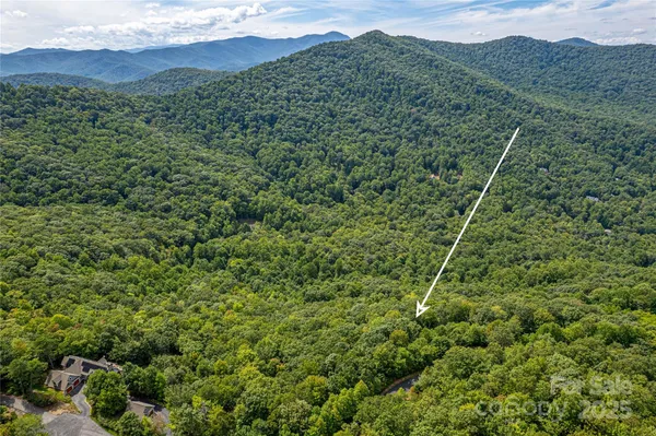 a view of a forest with a mountain