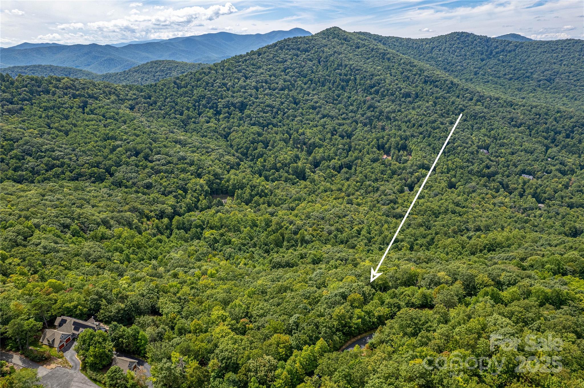 579 Blue Mist Way Arden, NC 28704 - Photo 7 of 20 a view of a forest with a mountain