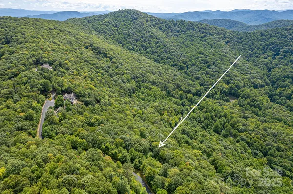 a view of a lush green forest with a mountain