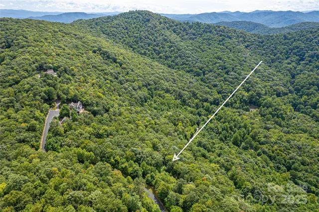 a view of a lush green forest with a mountain