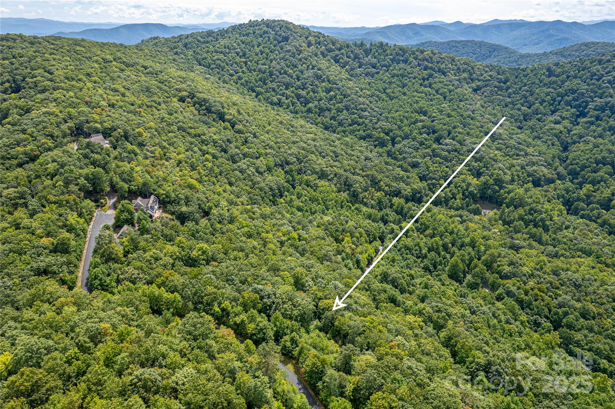 579 Blue Mist Way Arden, NC 28704 - Photo 10 of 20 a view of a lush green forest with a mountain