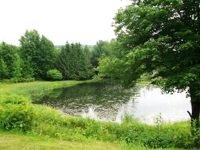 192 Greenbush Road Warnerville, NY 12187 - Photo 15 of 21 Photo 15