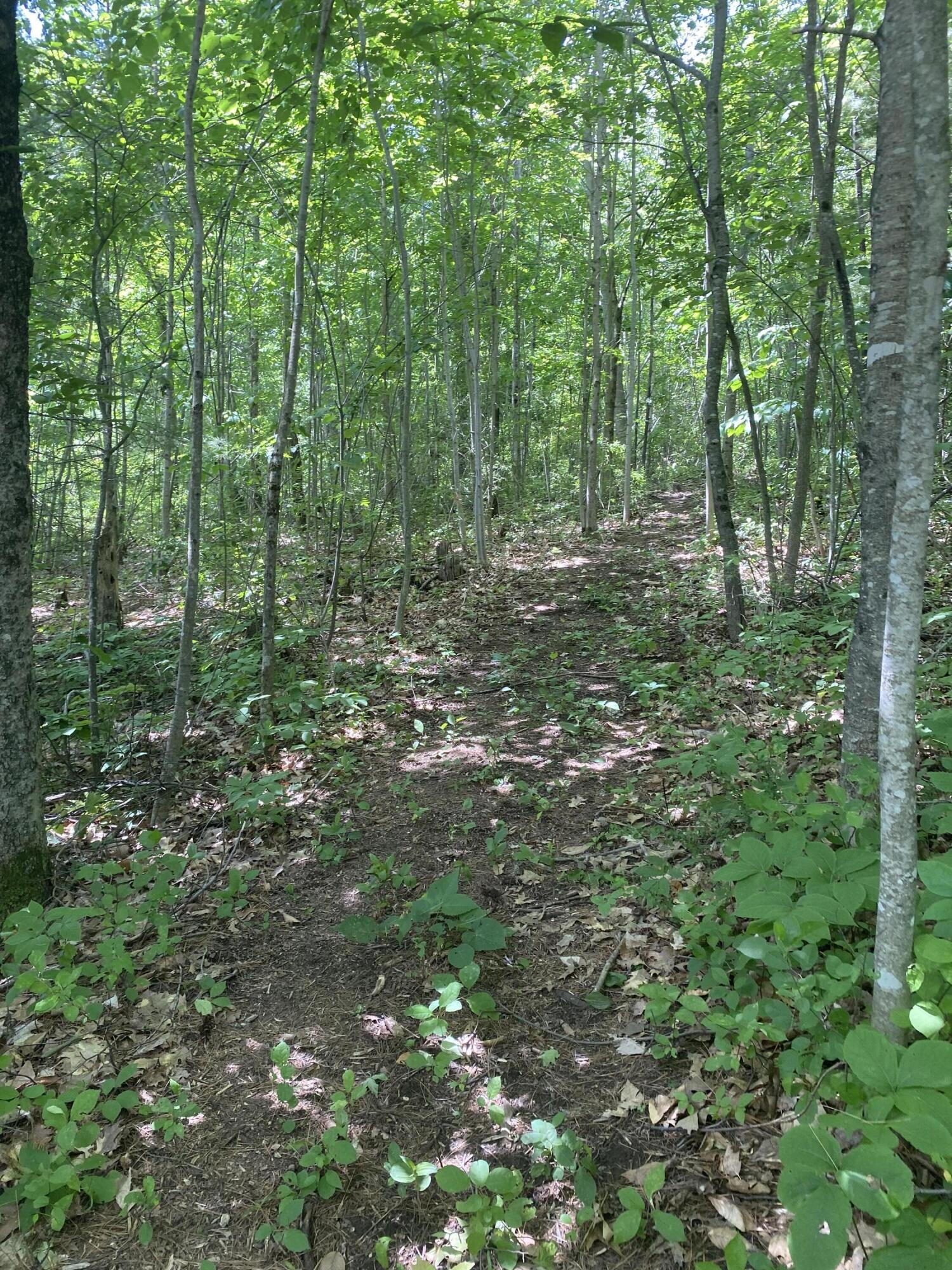 582 Neck Road South China, ME 04358 - Photo 24 of 35 IMG_9147