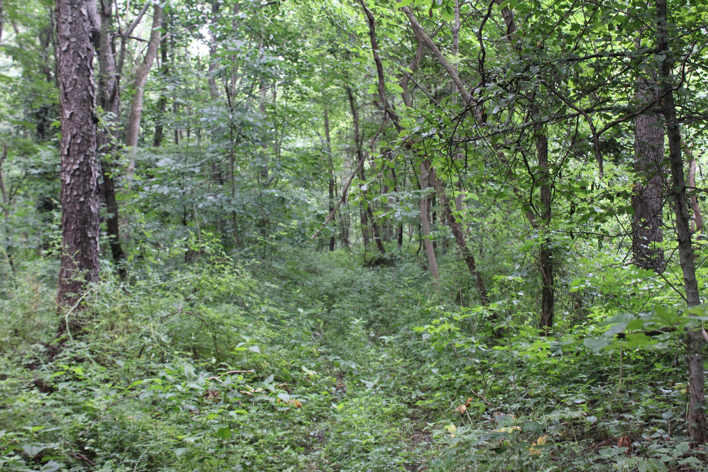 0 State Road Vermilion, OH 44089 - Photo 9 of 18 IMG_3414