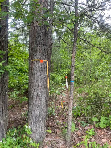 $259,300 | 0 South Aaron Road, Randolph, MS 38864