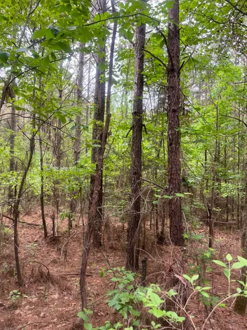 $259,300 | 0 South Aaron Road, Randolph, MS 38864
