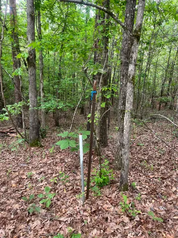 $259,300 | 0 South Aaron Road, Randolph, MS 38864