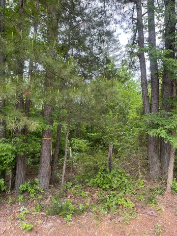 $259,300 | 0 South Aaron Road, Randolph, MS 38864