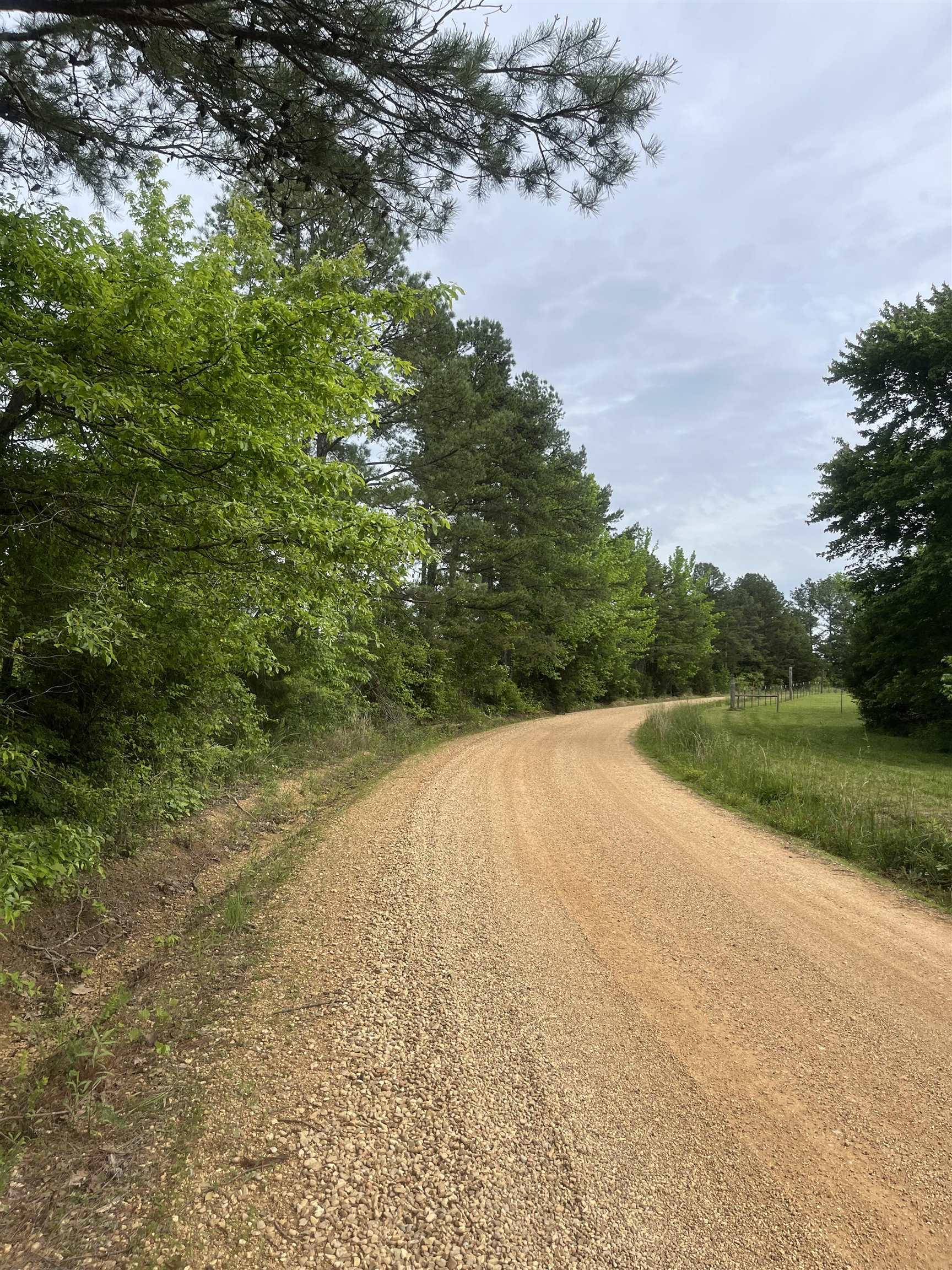 0 South Aaron Road Randolph, MS 38864 - Photo 7 of 9 View of dirt / gravel road featuring a forest view