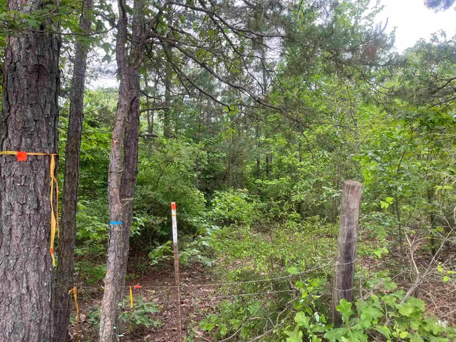 $259,300 | 0 South Aaron Road, Randolph, MS 38864