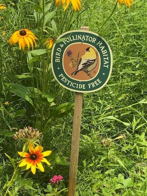 27 Eagle Drive Grantham, NH 03753 - Photo 38 of 39