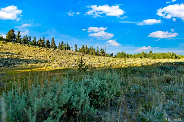 $129,000 | Coil Drive, Fairplay, CO 80440