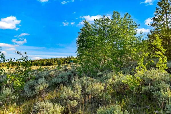$129,000 | Coil Drive, Fairplay, CO 80440