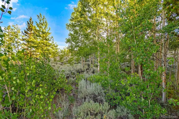$129,000 | Coil Drive, Fairplay, CO 80440