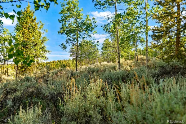$129,000 | Coil Drive, Fairplay, CO 80440