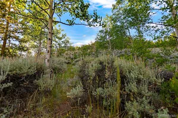 $129,000 | Coil Drive, Fairplay, CO 80440