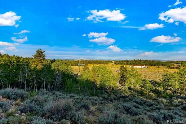 $129,000 | Coil Drive, Fairplay, CO 80440