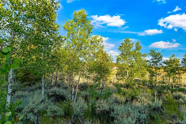 $129,000 | Coil Drive, Fairplay, CO 80440